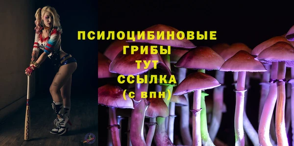 прущие грибы Бугульма