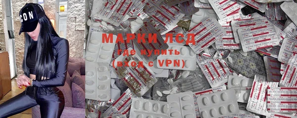 прущие грибы Бугульма