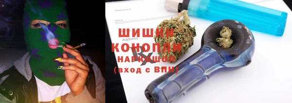 прущие грибы Бугульма