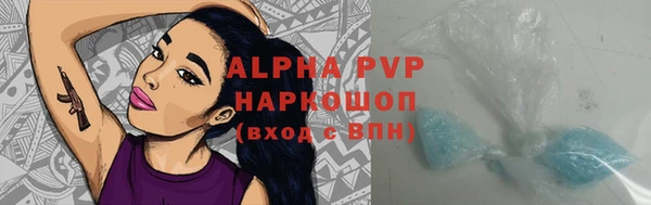 прущие грибы Бугульма