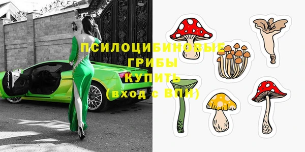 герыч Бронницы