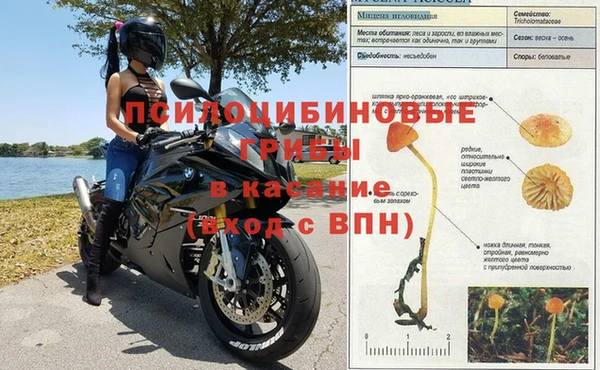 кокаин Бородино